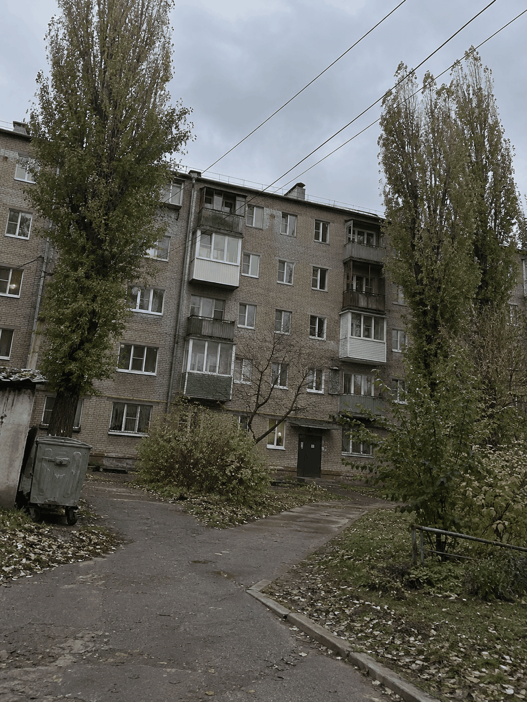 До — исходный снимок двора с проводами, мусорным контейнером и заваленным горизонтом