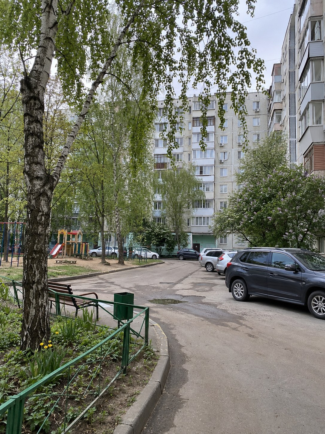 До — дневной снимок двора при пасмурном свете