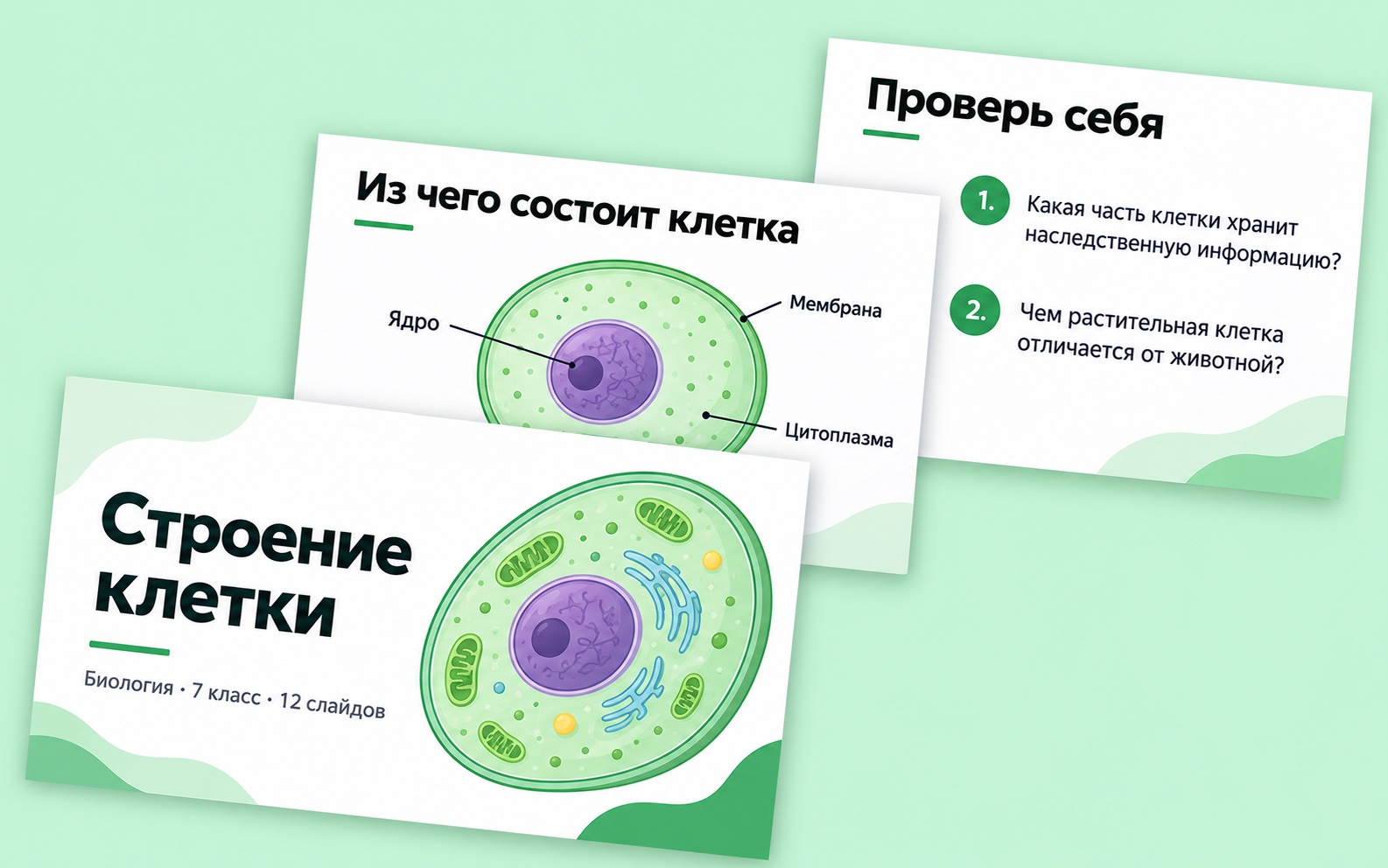 Школьная презентация по биологии о строении клетки для 7 класса
