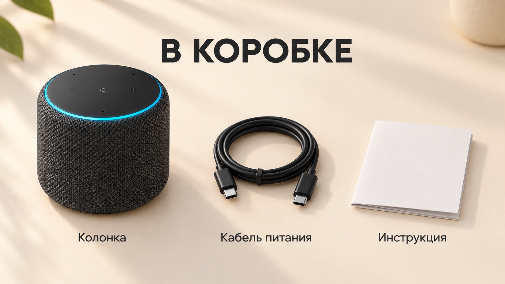 Экран рич-контента: комплектация умной колонки